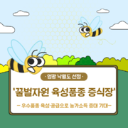 꿀벌자원 육성품종 증식장