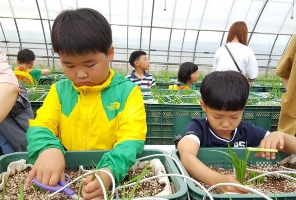 신안군, 농업기술센터 초·중·고생 농촌체험장으로 탈바꿈..'미래의 농촌지도자 육성을 위한 기대감 커' 2