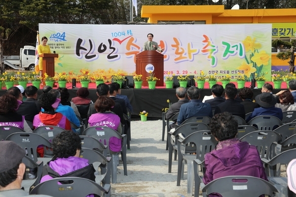 신안1004섬수선화축제 개막..'신안군 지도읍 선도에서 전국 최대 면적 수선화 축제 열어' 1