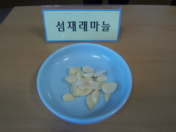 신소득 작목 육성(토종 재래마늘) 시범사업 평가회 3
