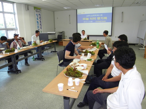 신소득 작목 육성(토종 재래마늘) 시범사업 평가회 5
