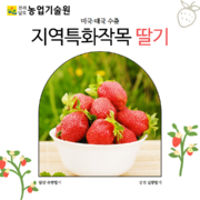 '지역특화작목 딸기' 미국·태국 수출