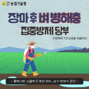 장마 후 벼 병해충 집중방제 당부