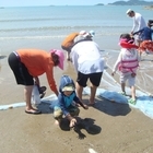 신안군, 도시 소비자 농촌체험 성료..'서울, 경기, 목포권 도시 소비자 청정 섬...