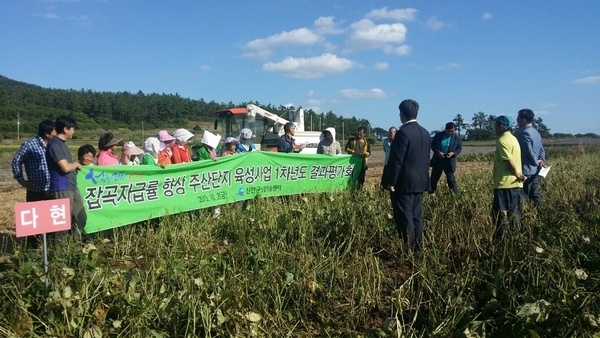 신안군! 잡곡 자급률 향상 시범사업 평가 “농가 호응 커” ..