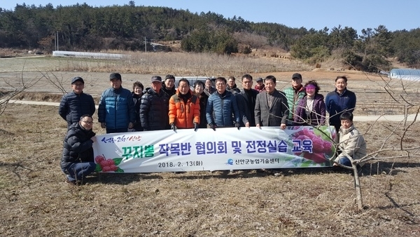 신안군, 꾸지뽕 봄철 정지전정 현장실습 교육 실시 !!1