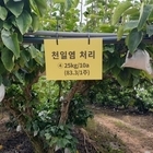 신안군, 천일염 활용한 고품질 농산물 생산 추진..'천일염으로 화학비료 줄여 친환...