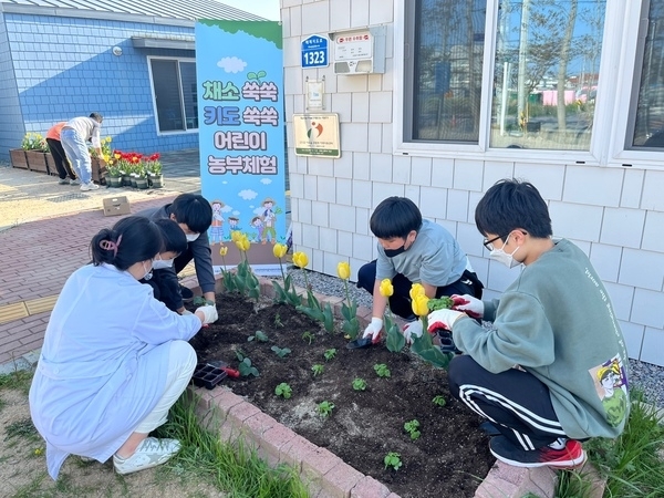 신안군 “채소 쑥쑥 키도 쑥쑥 어린이 농부체험” 특화사업 실시1