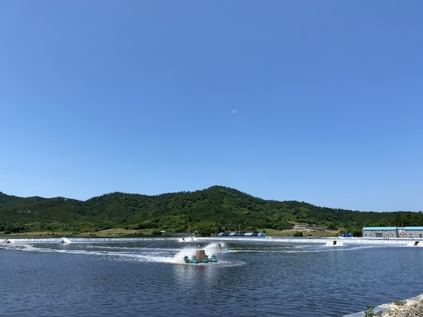 신안 왕새우! 국민 건강 지키는 안심 먹거리로 자리매김..