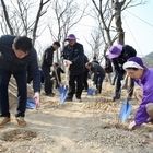 신안군 제78회 식목일 기념 나무심기 성료..'신안 안좌 예술섬 플로팅 미술관에 ...