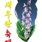 신안군 오색빛깔 30만송이 새우란(蘭)의 대향연..'전국 새우란 축제! 다양한 희...