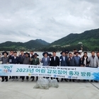 신안군, 어린 갑오징어 5만마리 방류..'고소득 품종(갑오징어) 방류로 어가소득 ...