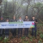 신안군, 멸종Ⅰ급 나도풍란 난대원시림의 보고 가거도에 이식..'멸종위기종 보전을 ...