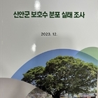 신안군 보호수 분포 실태조사 보고서 발간..'산림청 지정 대한민국 보호수 중 신안...