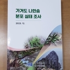 신안 가거도 나한송 국가보호종 지정 추진..'수령 274년 된 나한송 가거도 회룡...