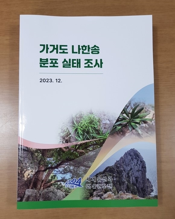 신안 가거도 나한송 국가보호종 지정 추진..'수령 274년 된 나한송 가거도 회룡산에 자생'1