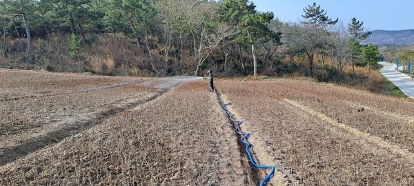 겨울 수목 보호를 위한 물주기 작업 시행1